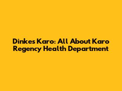 Dinkes Karo: All About Karo Regency Health Department