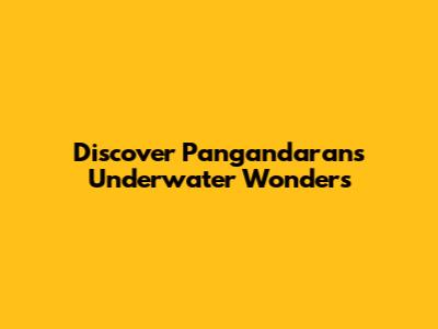 Discover Pangandaran's Underwater Wonders