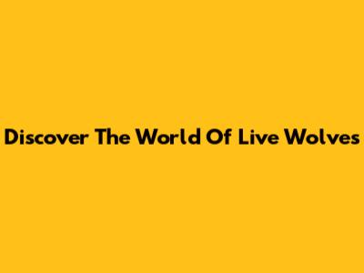 Discover The World Of Live Wolves