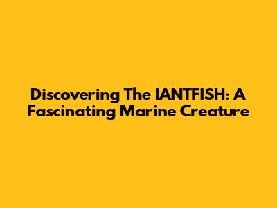 Discovering The IANTFISH: A Fascinating Marine Creature