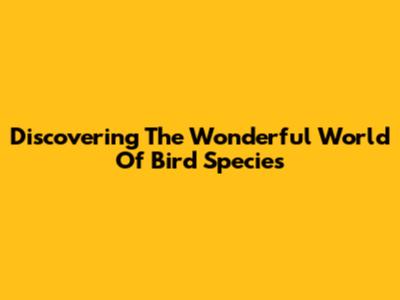 Discovering The Wonderful World Of Bird Species