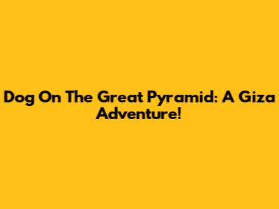 Dog On The Great Pyramid: A Giza Adventure!