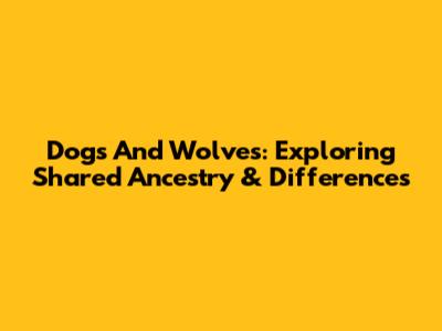 Dogs And Wolves: Exploring Shared Ancestry & Differences
