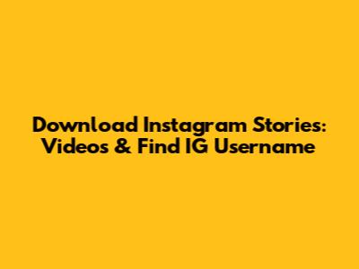 Download Instagram Stories: Videos & Find IG Username