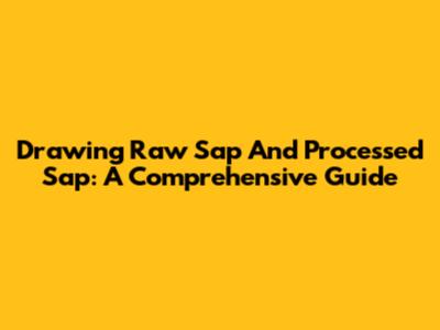 Drawing Raw Sap And Processed Sap: A Comprehensive Guide