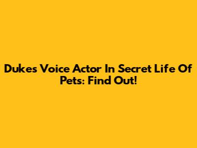 Duke's Voice Actor In Secret Life Of Pets: Find Out!