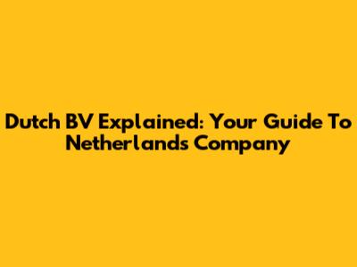 Dutch BV Explained: Your Guide To Netherlands Company