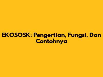 EKOSOSK: Pengertian, Fungsi, Dan Contohnya