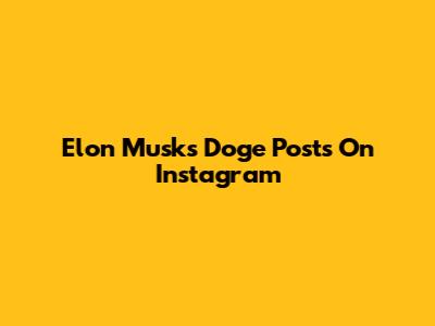 Elon Musk's Doge Posts On Instagram