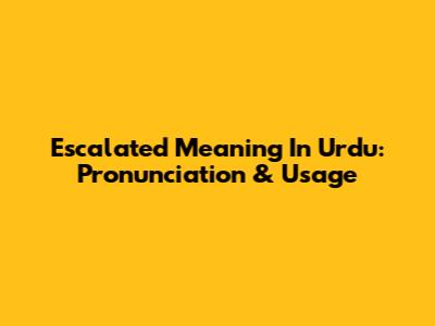 Escalated Meaning In Urdu: Pronunciation & Usage