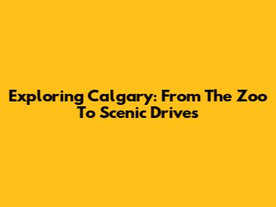 Exploring Calgary: From The Zoo To Scenic Drives
