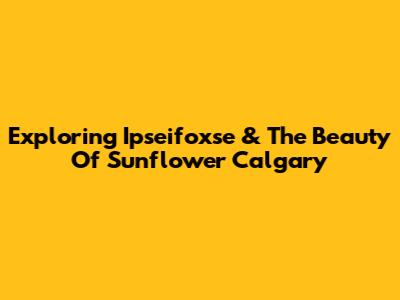 Exploring Ipseifoxse & The Beauty Of Sunflower Calgary