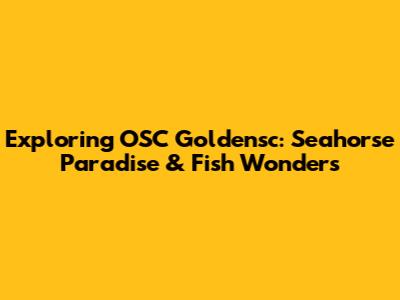 Exploring OSC Goldensc: Seahorse Paradise & Fish Wonders
