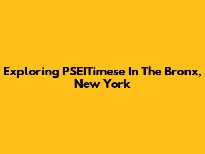 Exploring PSEITimese In The Bronx, New York