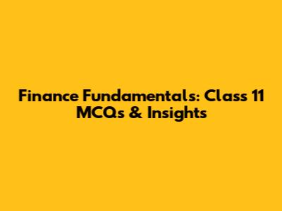 Finance Fundamentals: Class 11 MCQs & Insights