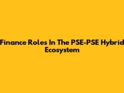 Finance Roles In The PSE-PSE Hybrid Ecosystem