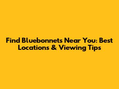 Find Bluebonnets Near You: Best Locations & Viewing Tips