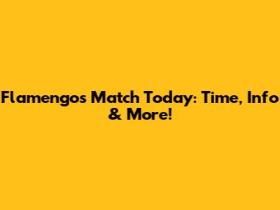 Flamengo's Match Today: Time, Info & More!