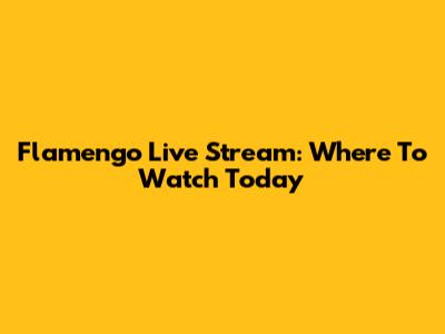 Flamengo Live Stream: Where To Watch Today