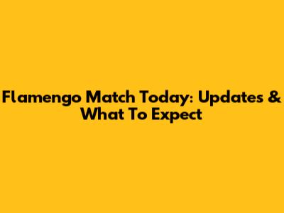 Flamengo Match Today: Updates & What To Expect