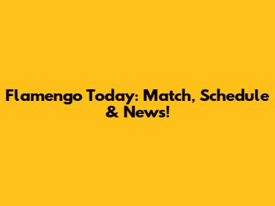 Flamengo Today: Match, Schedule & News!