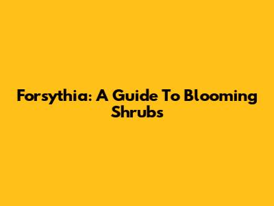 Forsythia: A Guide To Blooming Shrubs