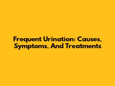 Frequent Urination: Causes, Symptoms, And Treatments
