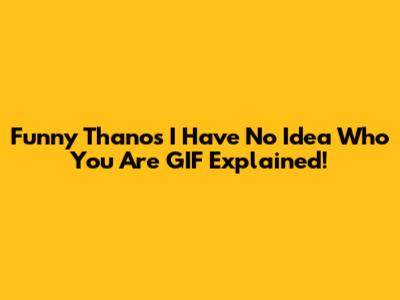 Funny "Thanos I Have No Idea Who You Are" GIF Explained!
