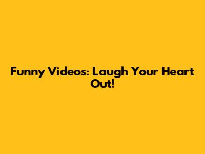 Funny Videos: Laugh Your Heart Out!