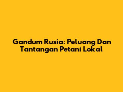 Gandum Rusia: Peluang Dan Tantangan Petani Lokal