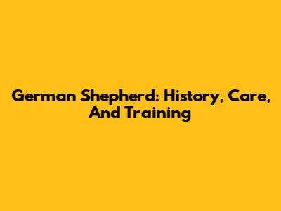 German Shepherd: History, Care, And Training
