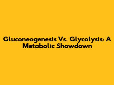 Gluconeogenesis Vs. Glycolysis: A Metabolic Showdown