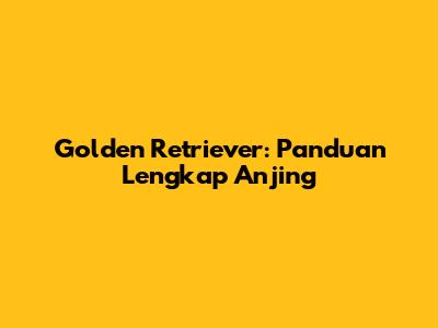 Golden Retriever: Panduan Lengkap Anjing
