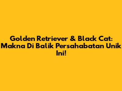 Golden Retriever & Black Cat: Makna Di Balik Persahabatan Unik Ini!