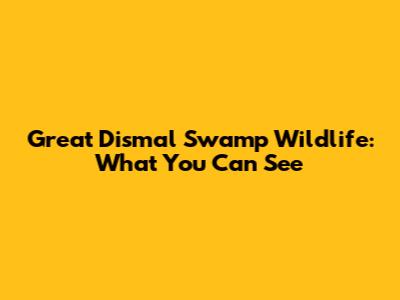 Great Dismal Swamp Wildlife: What You Can See