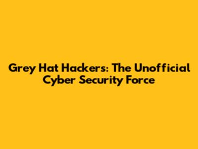 Grey Hat Hackers: The Unofficial Cyber Security Force