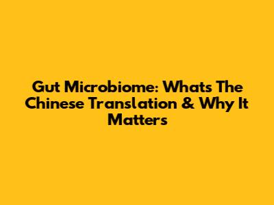 Gut Microbiome: What's The Chinese Translation & Why It Matters