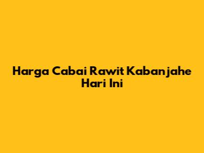 Harga Cabai Rawit Kabanjahe Hari Ini