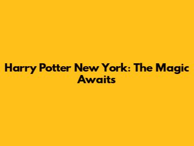 Harry Potter New York: The Magic Awaits