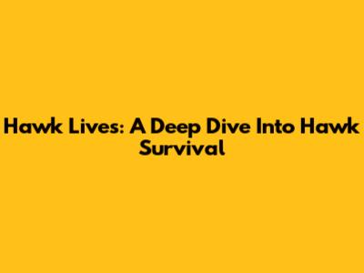 Hawk Lives: A Deep Dive Into Hawk Survival