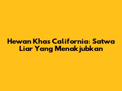 Hewan Khas California: Satwa Liar Yang Menakjubkan