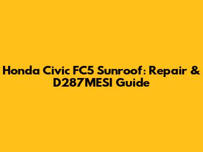 Honda Civic FC5 Sunroof: Repair & D287MESI Guide