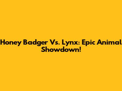 Honey Badger Vs. Lynx: Epic Animal Showdown!