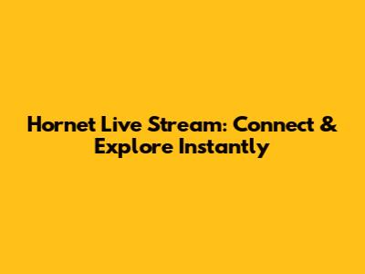 Hornet Live Stream: Connect & Explore Instantly
