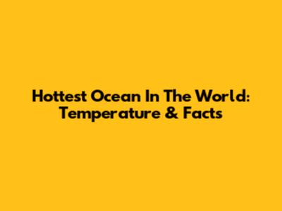 Hottest Ocean In The World: Temperature & Facts