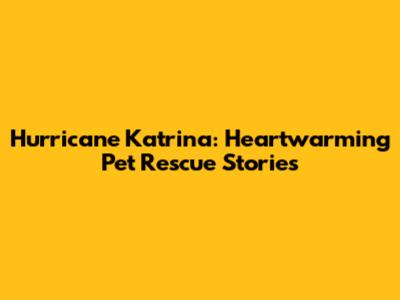 Hurricane Katrina: Heartwarming Pet Rescue Stories