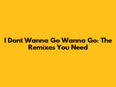I Don't Wanna Go Wanna Go: The Remixes You Need
