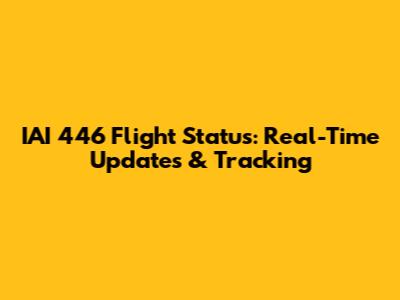 IAI 446 Flight Status: Real-Time Updates & Tracking