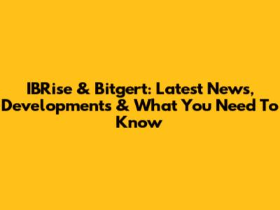 IBRise & Bitgert: Latest News, Developments & What You Need To Know