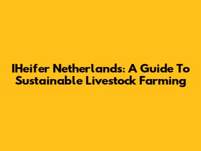 IHeifer Netherlands: A Guide To Sustainable Livestock Farming